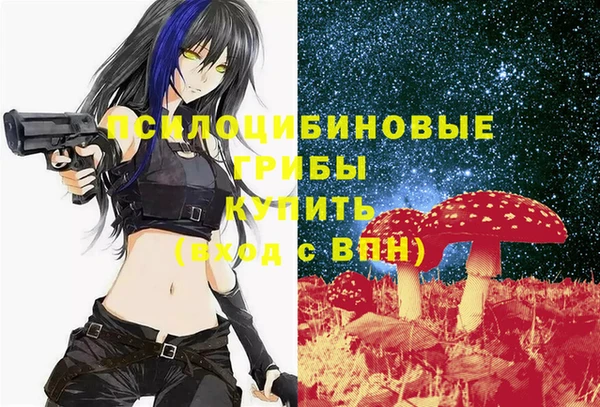 скорость Белокуриха